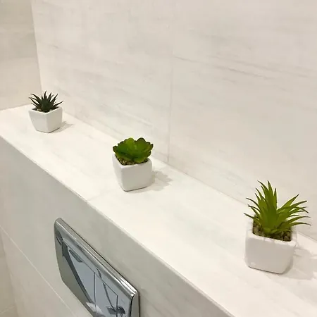 Apartment Lavender